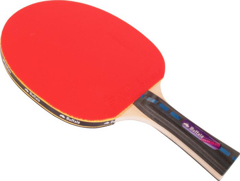 Tennis de table - photo 3